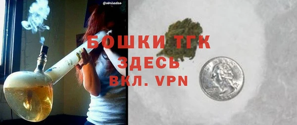 шишки Аркадак