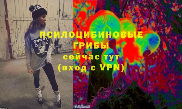 apvp Армянск