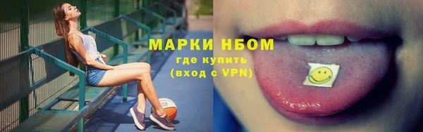 шишки Аркадак