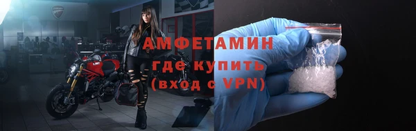 шишки Аркадак