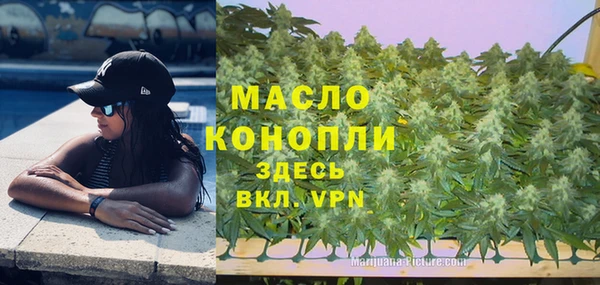шишки Аркадак