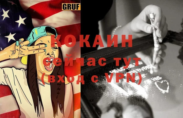 шишки Аркадак