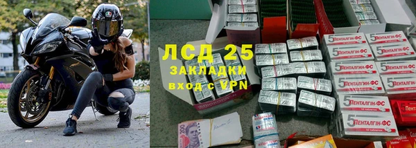 шишки Аркадак