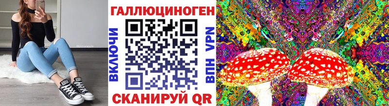 Псилоцибиновые грибы Psilocybine cubensis  Купить  Ступино 